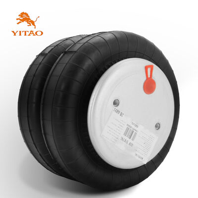 Firestone W01-M58-6891 Airtech 2B-225 Doppia molla d'aria avvolgente